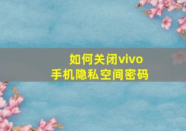 如何关闭vivo手机隐私空间密码