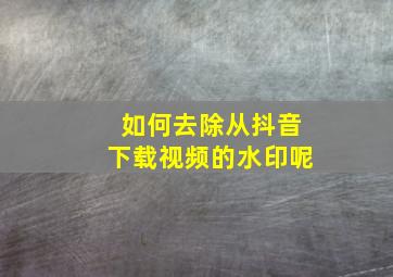 如何去除从抖音下载视频的水印呢