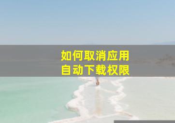 如何取消应用自动下载权限