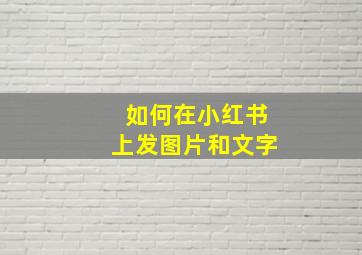 如何在小红书上发图片和文字