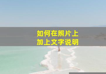 如何在照片上加上文字说明