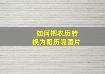 如何把农历转换为阳历呢图片