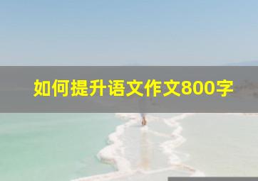 如何提升语文作文800字