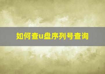 如何查u盘序列号查询