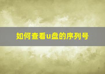 如何查看u盘的序列号