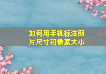 如何用手机标注图片尺寸和像素大小