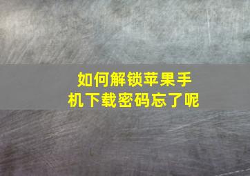 如何解锁苹果手机下载密码忘了呢