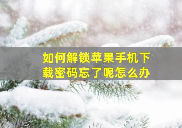 如何解锁苹果手机下载密码忘了呢怎么办