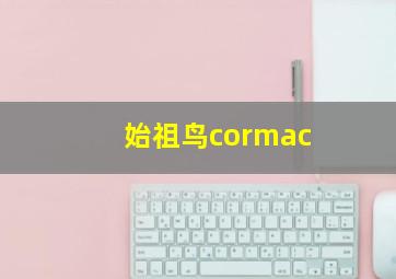 始祖鸟cormac