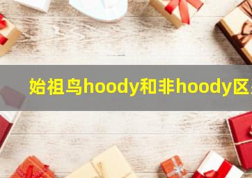 始祖鸟hoody和非hoody区别