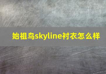 始祖鸟skyline衬衣怎么样