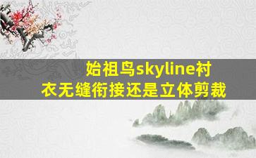 始祖鸟skyline衬衣无缝衔接还是立体剪裁