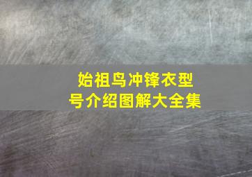 始祖鸟冲锋衣型号介绍图解大全集