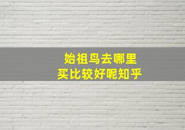 始祖鸟去哪里买比较好呢知乎