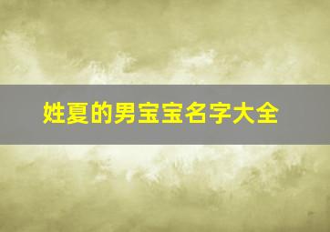 姓夏的男宝宝名字大全