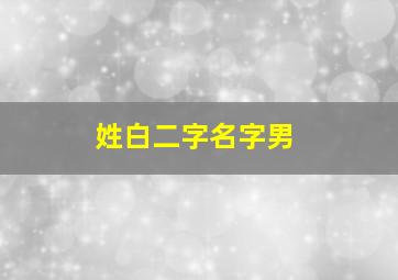 姓白二字名字男