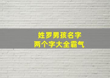 姓罗男孩名字两个字大全霸气