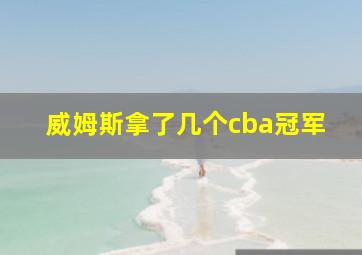 威姆斯拿了几个cba冠军