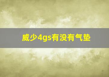 威少4gs有没有气垫