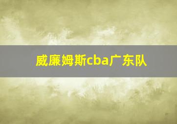 威廉姆斯cba广东队