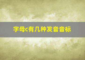 字母c有几种发音音标