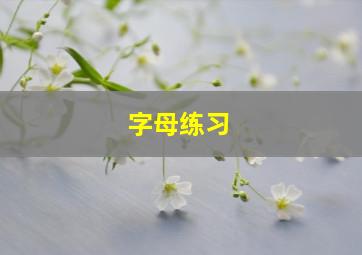 字母练习