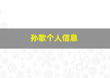 孙歌个人信息