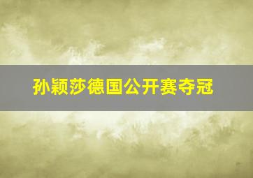 孙颖莎德国公开赛夺冠