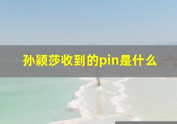 孙颖莎收到的pin是什么