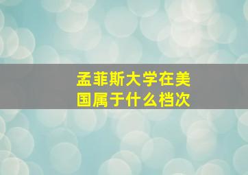 孟菲斯大学在美国属于什么档次