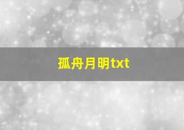 孤舟月明txt