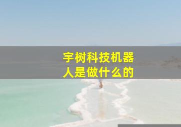 宇树科技机器人是做什么的