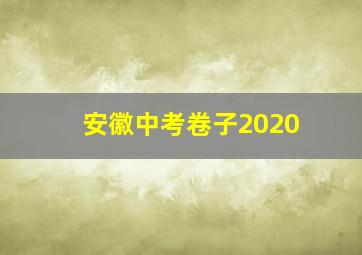 安徽中考卷子2020