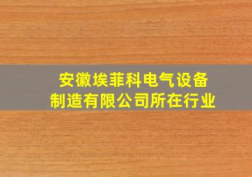 安徽埃菲科电气设备制造有限公司所在行业