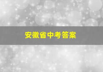 安徽省中考答案