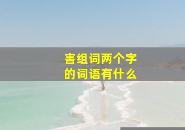 害组词两个字的词语有什么