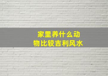 家里养什么动物比较吉利风水