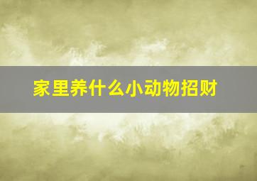 家里养什么小动物招财