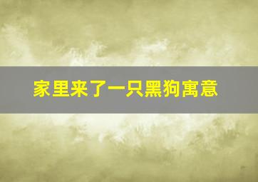 家里来了一只黑狗寓意