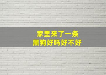 家里来了一条黑狗好吗好不好