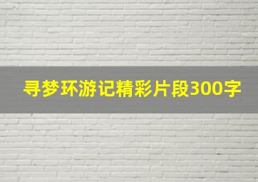 寻梦环游记精彩片段300字