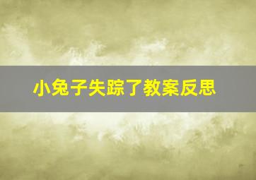 小兔子失踪了教案反思