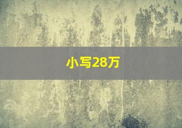 小写28万