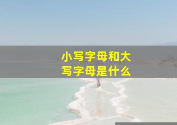 小写字母和大写字母是什么