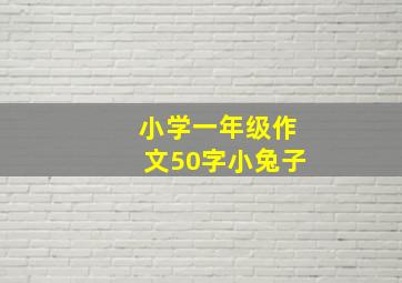 小学一年级作文50字小兔子