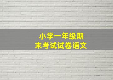 小学一年级期末考试试卷语文