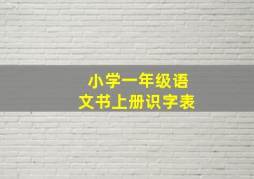 小学一年级语文书上册识字表