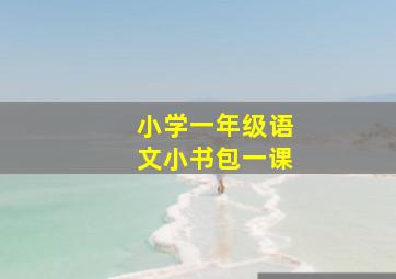 小学一年级语文小书包一课