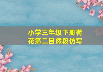 小学三年级下册荷花第二自然段仿写