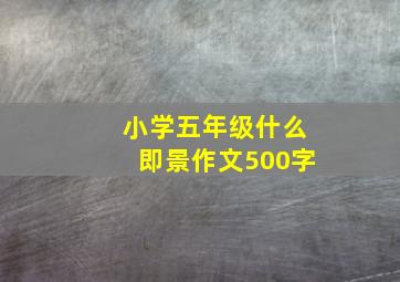 小学五年级什么即景作文500字